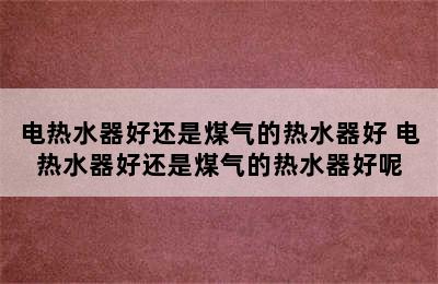 电热水器好还是煤气的热水器好 电热水器好还是煤气的热水器好呢